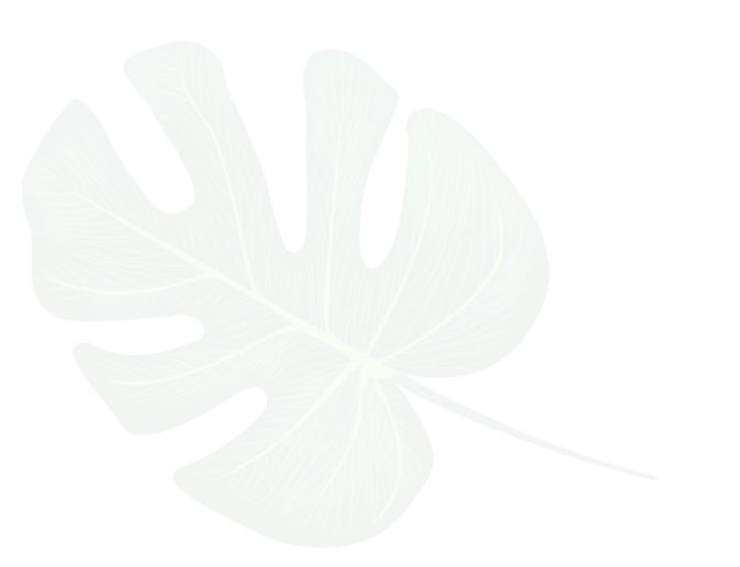 leaf image